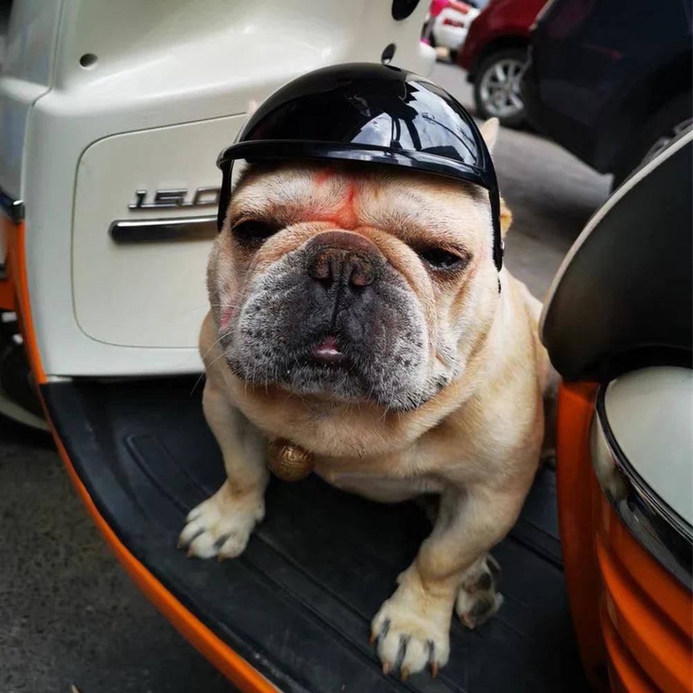 Cool Pet Dog Safety Helmet for Small Medium Dogs French Bulldog Doberman Pinscher Adjustable Motorcycle Helmets Pet Accessories - RPM Rivals